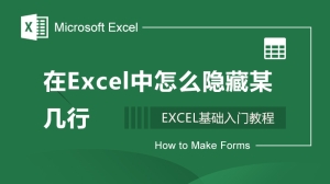 在Excel中怎么隐藏某几行