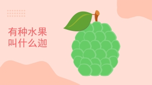 释迦是什么水果