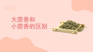 大茴香和小茴香的区别是什么