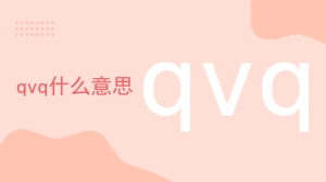 qvq什么意思