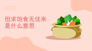 但求饱食无忧米是什么意思