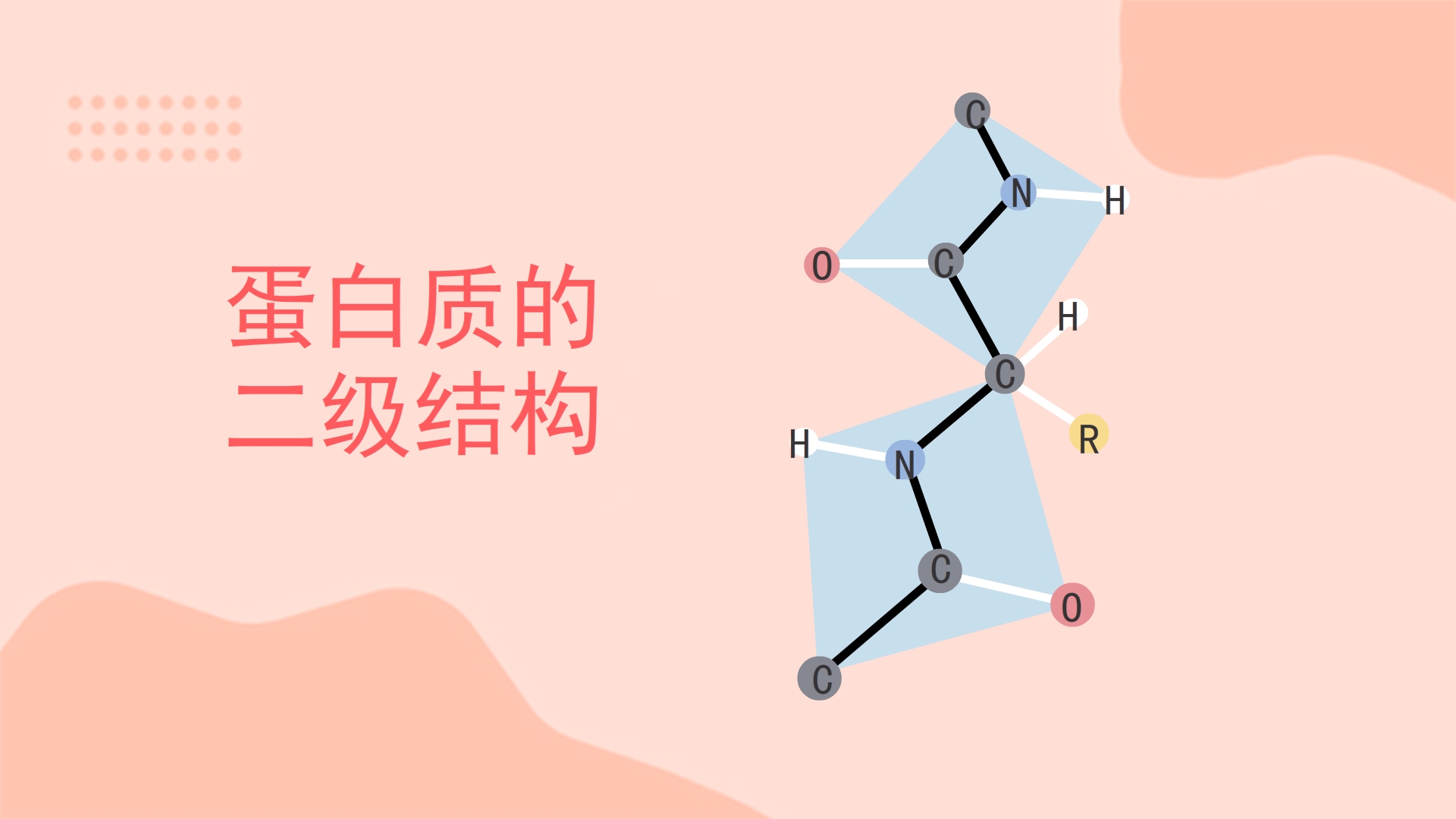 蛋白质的二级结构是什么