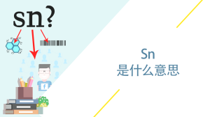 sn是什么意思