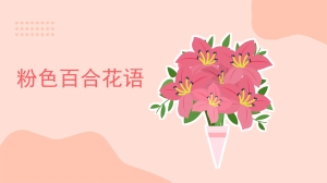 粉色百合花语是什么