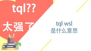 tql wsl什么意思