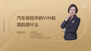 汽车保险中的VIN码指的是什么