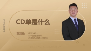 什么是CD单