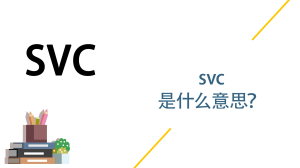 svc是什么意思