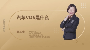 汽车VDS是什么