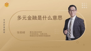 多元金融是什么意思