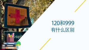 120和999有什么区别