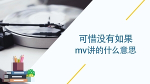 可惜没有如果mv讲的什么意思