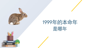 1999年的本命年是哪年