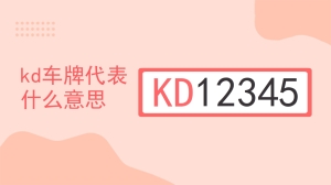 kd车牌代表什么意思