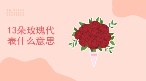 13朵玫瑰代表什么意思