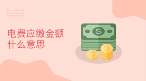 电费应缴金额什么意思