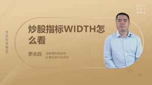 炒股指标WIDTH怎么看