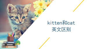 kitten和cat英文区别