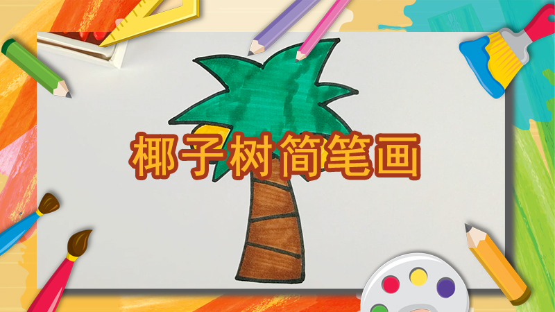 怎样画椰子树简笔画