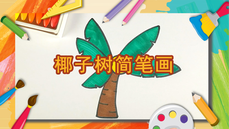 如何畫椰子樹簡筆畫