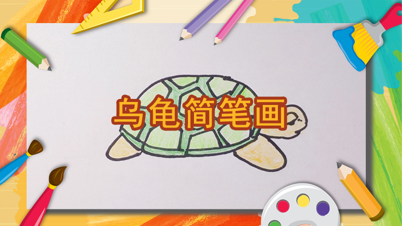 卡通乌龟怎么画