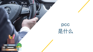 pcc是什么