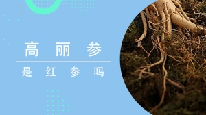 高丽参是红参吗