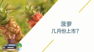 菠萝几月份上市