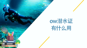 ow潜水证有什么用