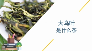 大乌叶是什么茶