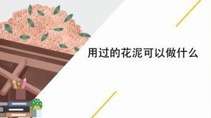 用过的花泥可以做什么