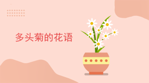 多头菊的花语