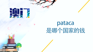 pataca是哪个国家的钱