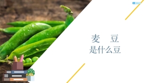 麦豆是什么豆