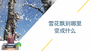 雪花飘到哪里变成什么