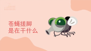 苍蝇搓脚是在干什么