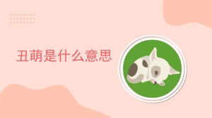 丑萌是什么意思