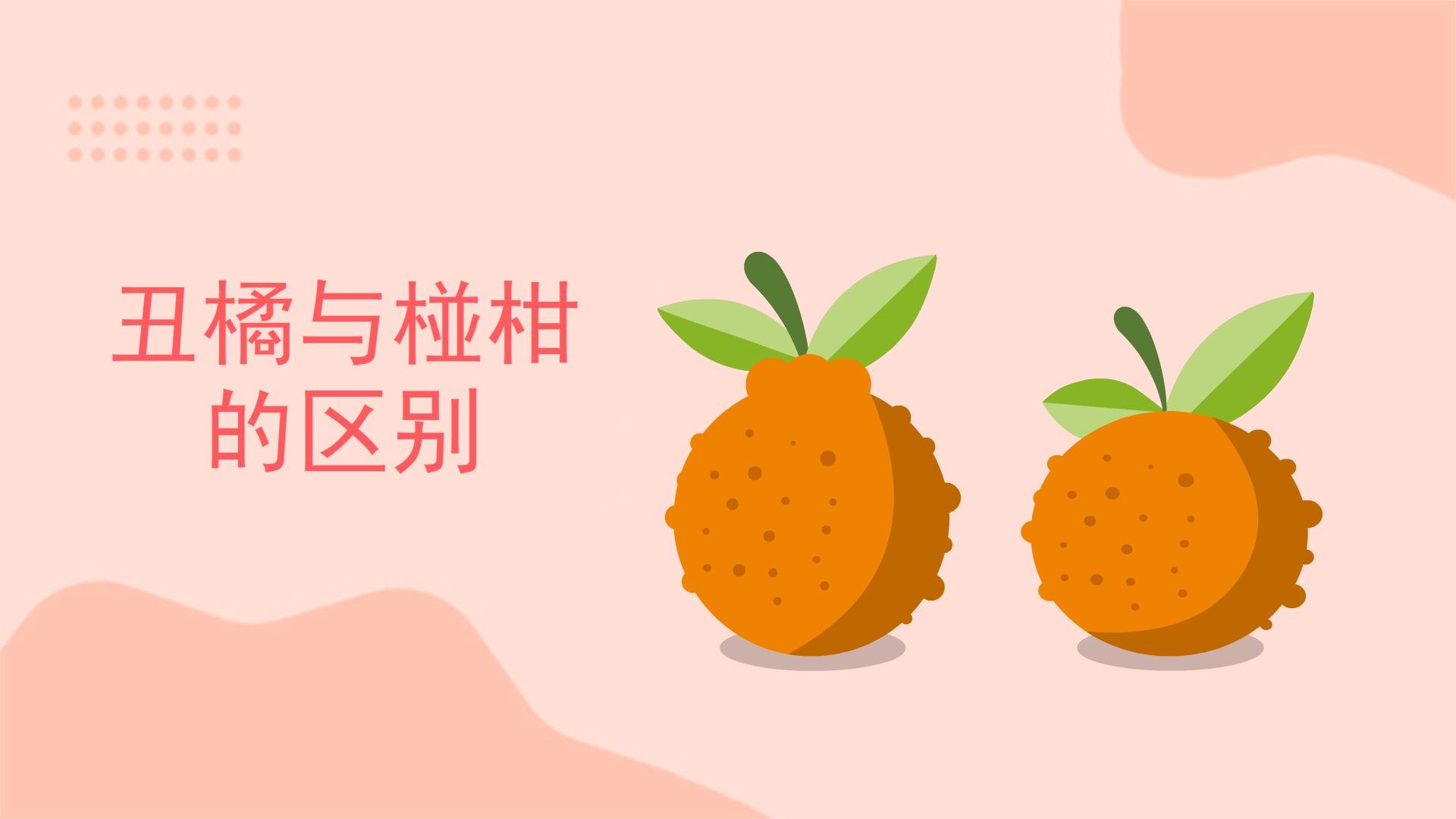 丑橘与椪柑的区别是什么