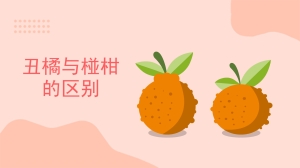 丑橘与椪柑的区别是什么