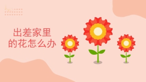 出差家里的花怎么办