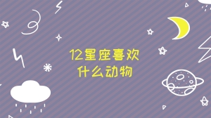 12星座喜欢什么动物