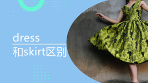 dress和skirt区别