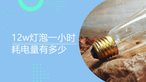 12w灯泡一小时耗电量