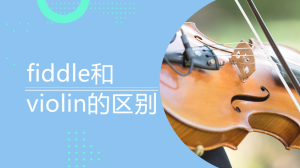 fiddle和violin的区别