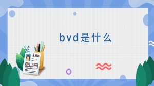 bvd是什么