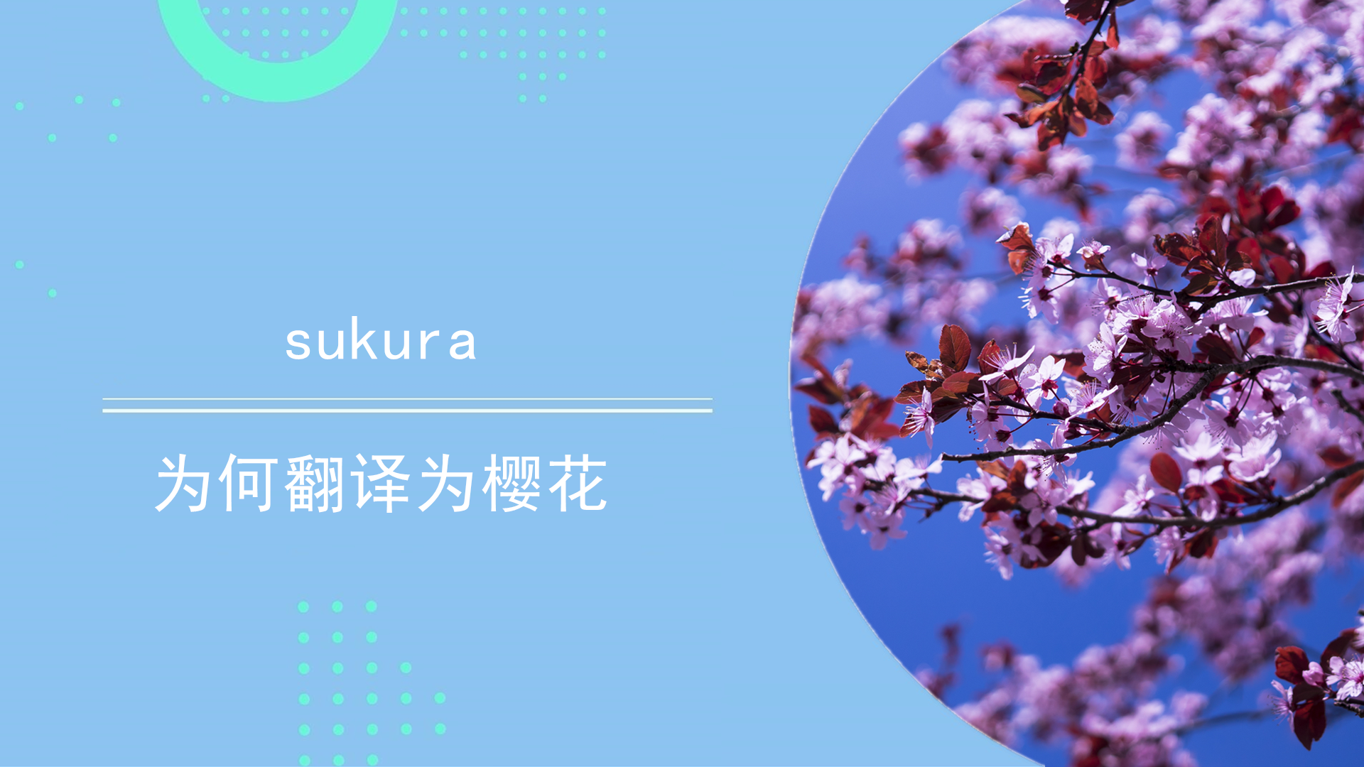 sukura为何翻译为樱花