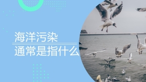 海洋污染通常是指什么