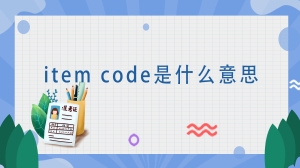 item code是什么意思