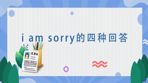 i am sorry的四种回答