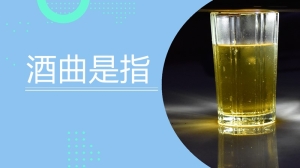 酒曲是指什么